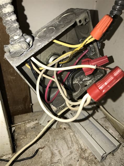 buzzing electrical box|electrical buzzing noise in house.